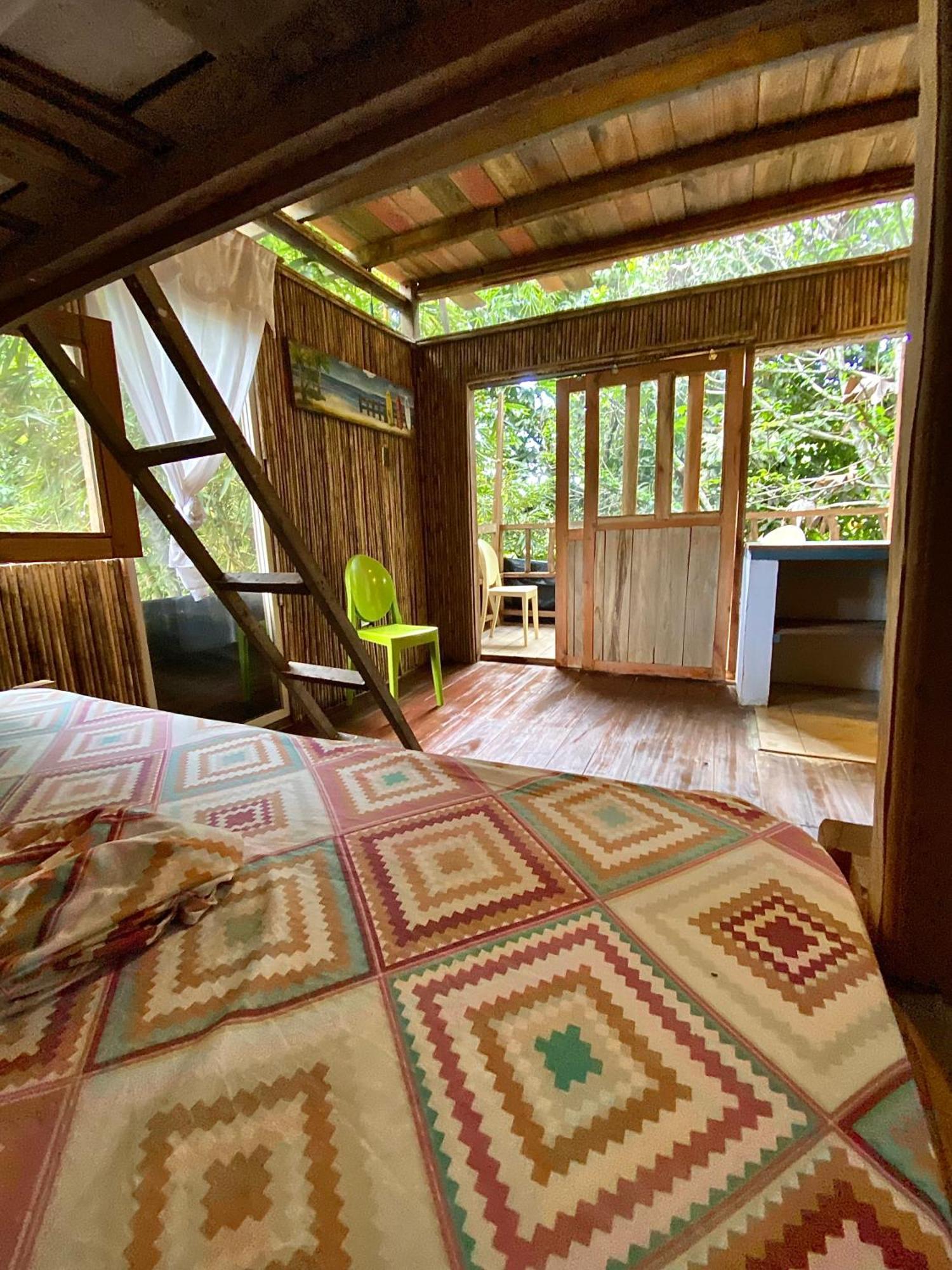 Utria Hostel El Valle  Стая снимка