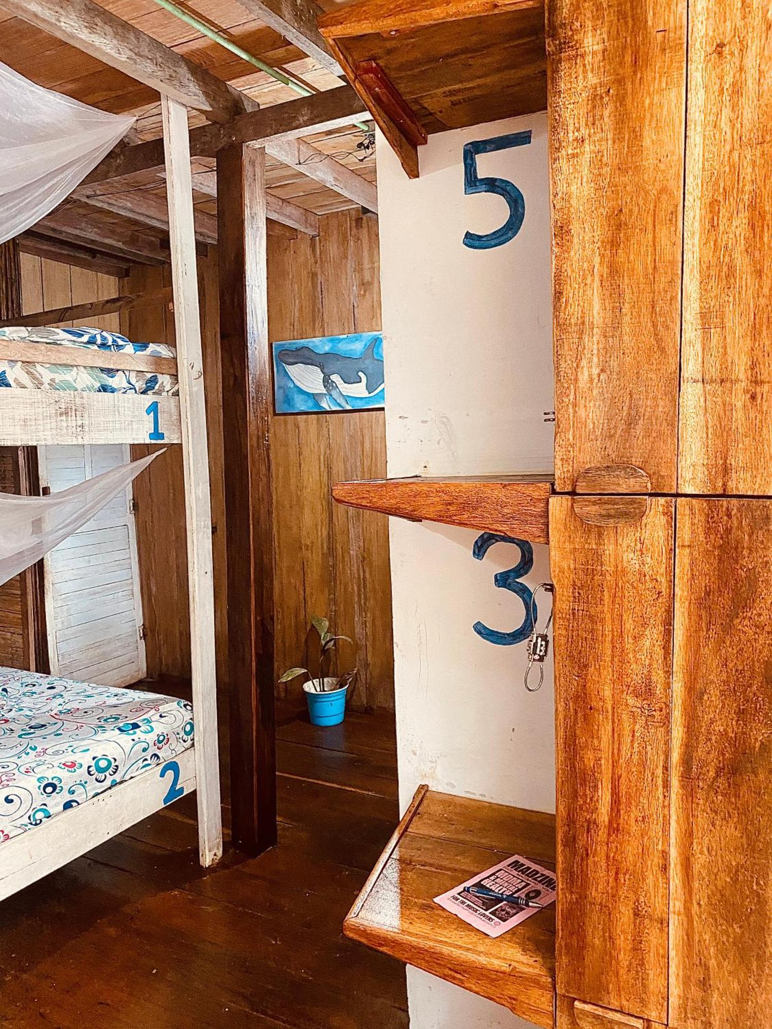 Utria Hostel El Valle  Стая снимка